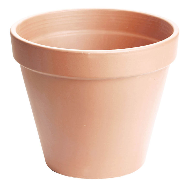 Acheter Antica • Pot Standard Ø21 : 