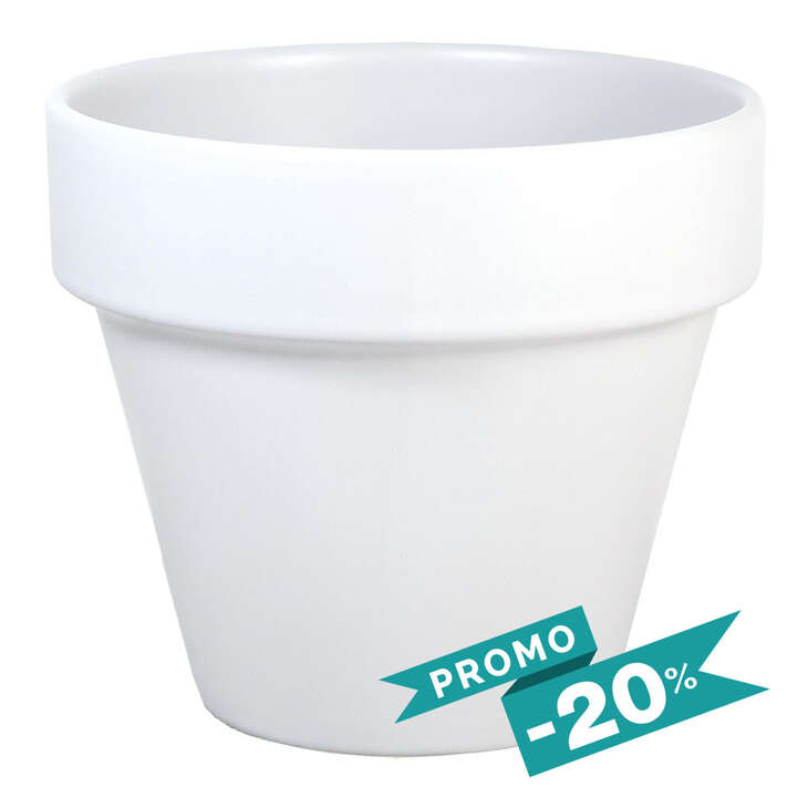 Rainbow • Pot Blanc Mat Ø25