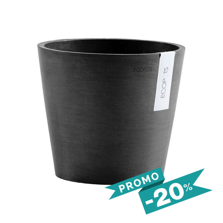 Amsterdam • Pot Anthracite Ø20 (Réserve d'eau incluse)