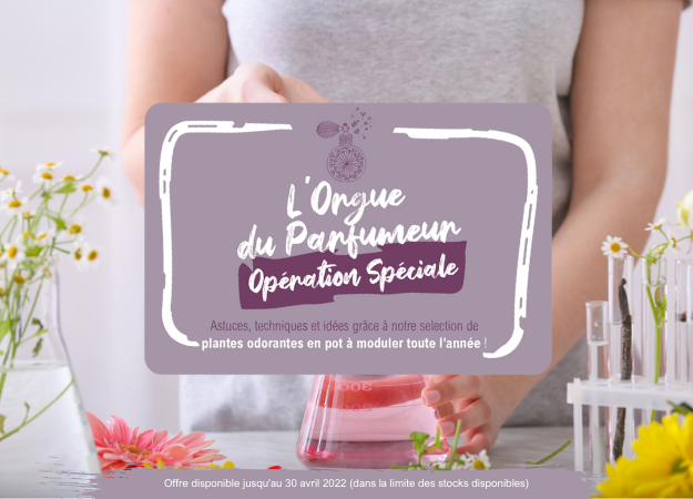 Opération Jardin Mars/Avril 2022